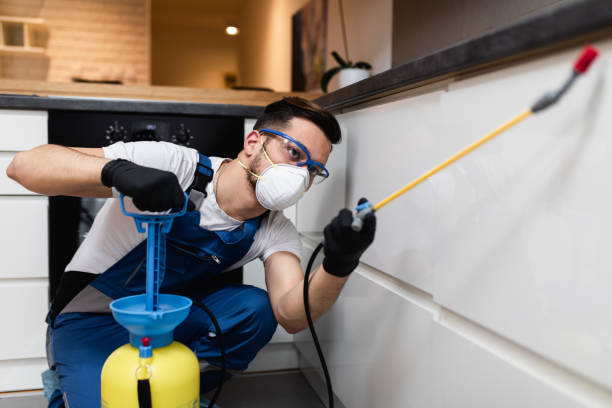 Best Wasp Removal Services  in Kokomo, IN