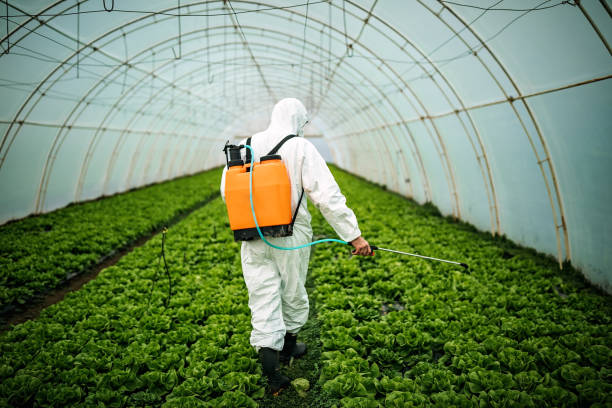 Best Pest Prevention Services  in Kokomo, IN