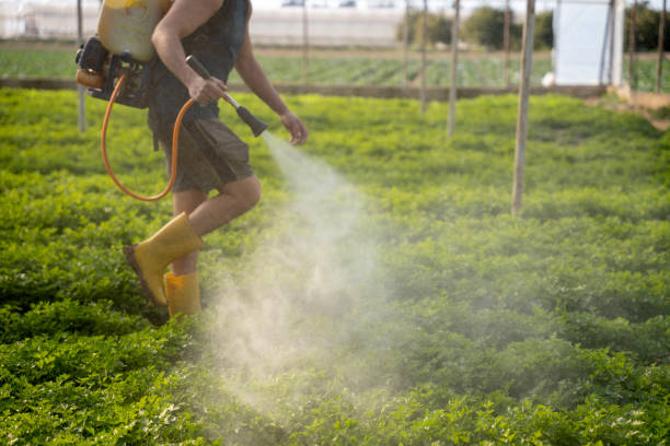 Best Local Pest Control Services  in Kokomo, IN